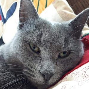 Meet your Posher, Kristy